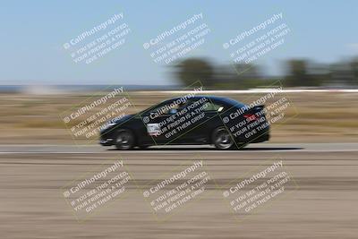 media/Oct-04-2025-OnGrid (Sat) [[44bd565ffa]]/Purple Group/Grapevine/